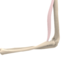 FIX CROSS TENO-Tornillo de Tenodesis de PEEK - Image 2