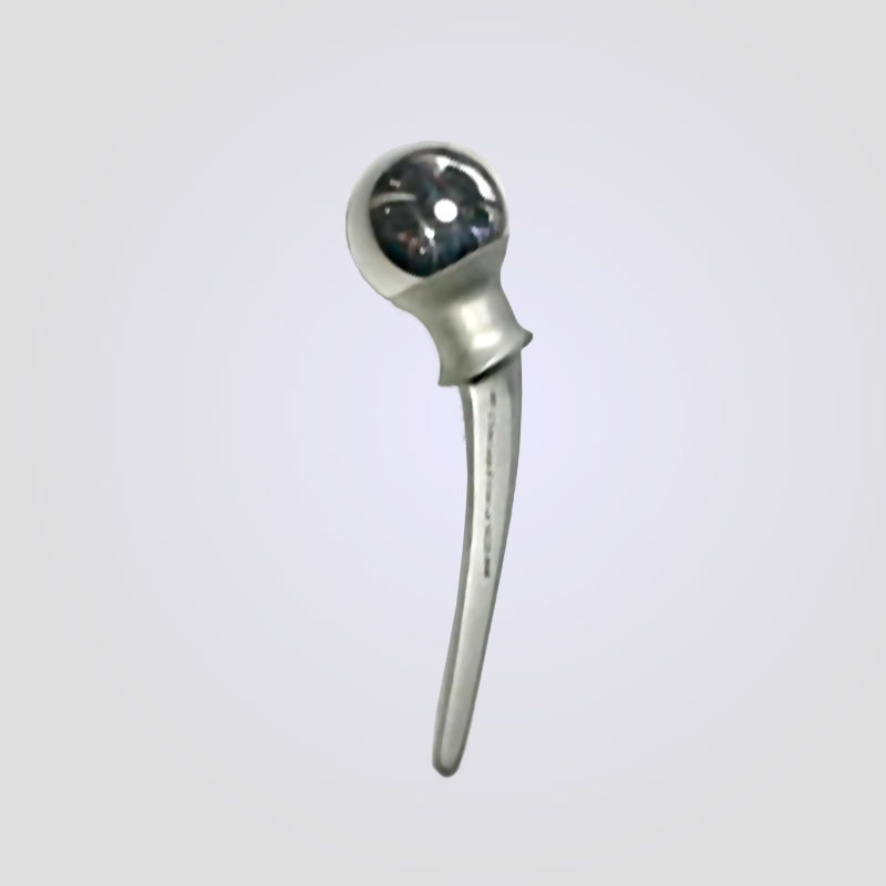 PROTESIS DE CADERA TIPO THOMPSON - Imagen 2